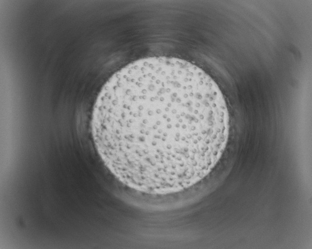 X0000116040038200912312241