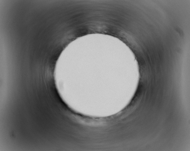 X0000116040040200912312241