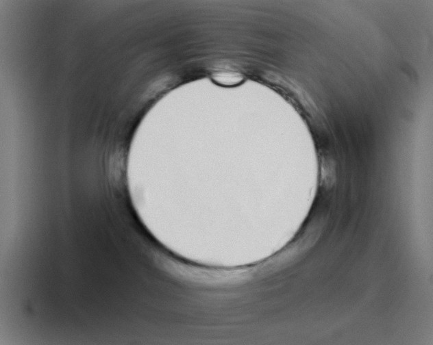 X0000116040044200912312241