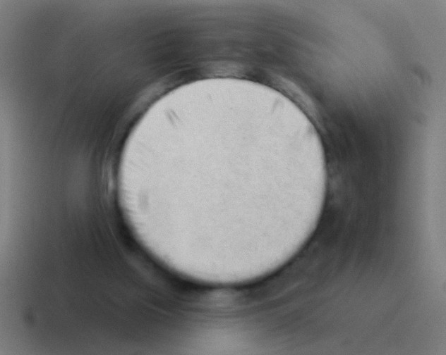 X0000116040059200912312240
