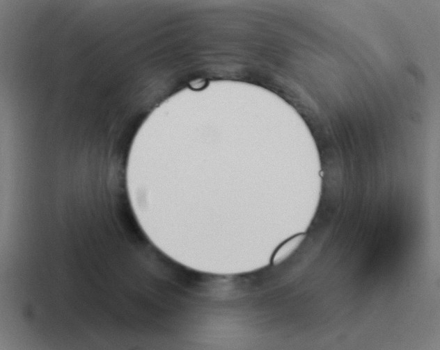 X0000116040083200912312241