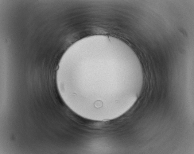 X0000116040084200912312241