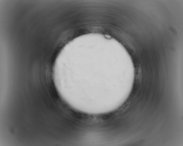 X0000116040086200912312241