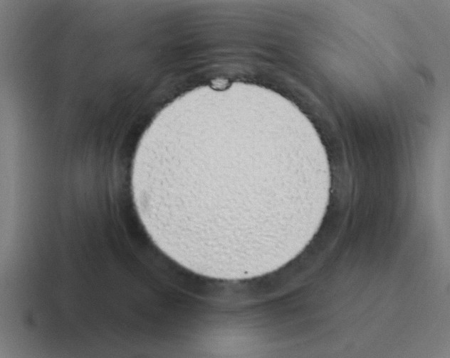 X0000116040087200912312241