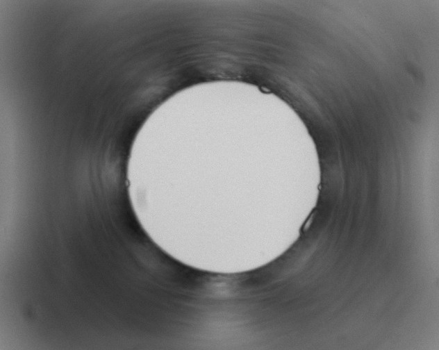 X0000116040088200912312241
