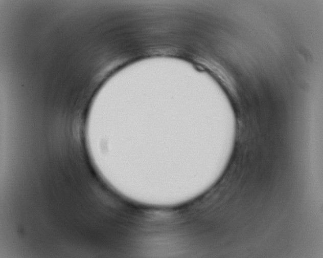 X0000116040107200912312240