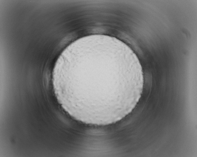 X0000116040110200912312240