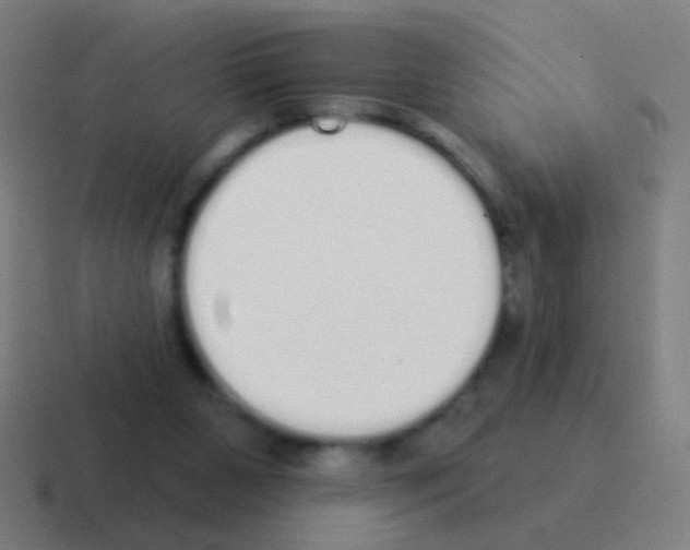 X0000116040111200912312240
