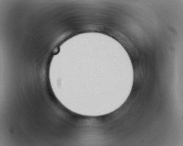 X0000116040112200912312240