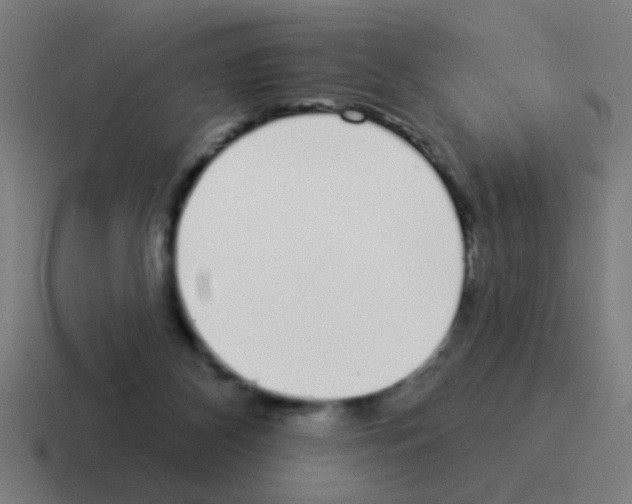 X0000116040116200912312240
