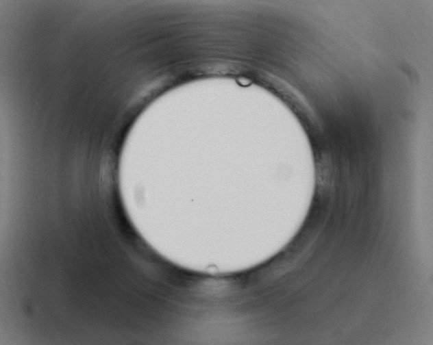 X0000116040119200912312240