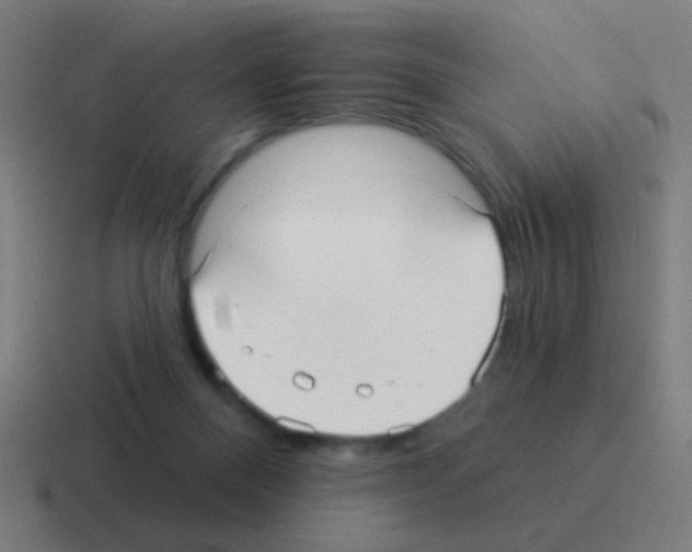 X0000116040120200912312240