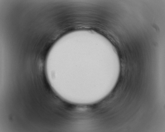 X0000116040123200912312240