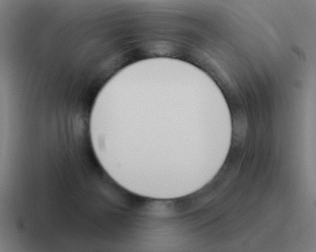 X0000116040126200912312240