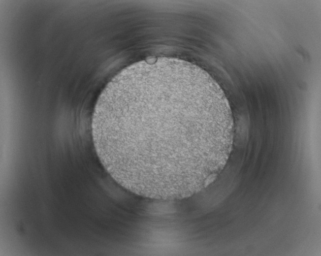 X0000116040138200912312240