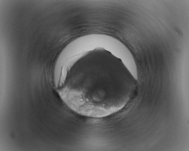 X0000116040139200912312240