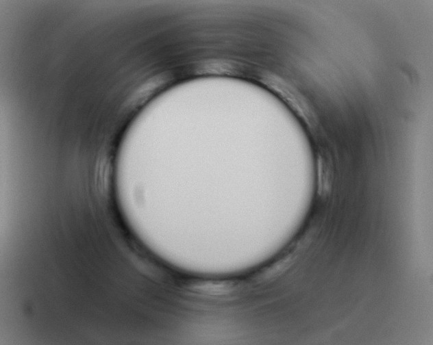 X0000116040157200912312239