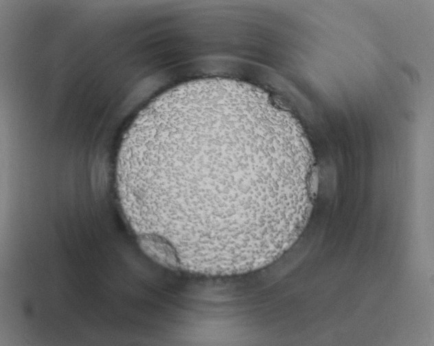 X0000116040158200912312239