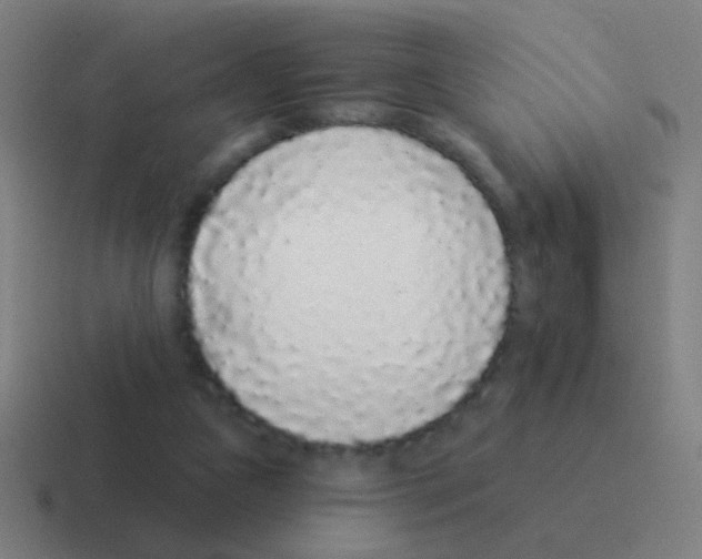 X0000116040161200912312239