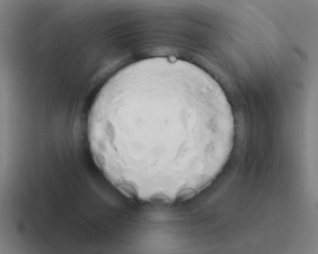 X0000116040165200912312239