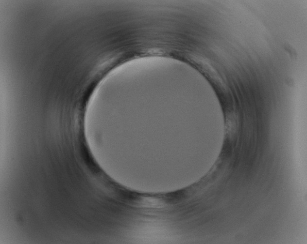 X0000116040167200912312239
