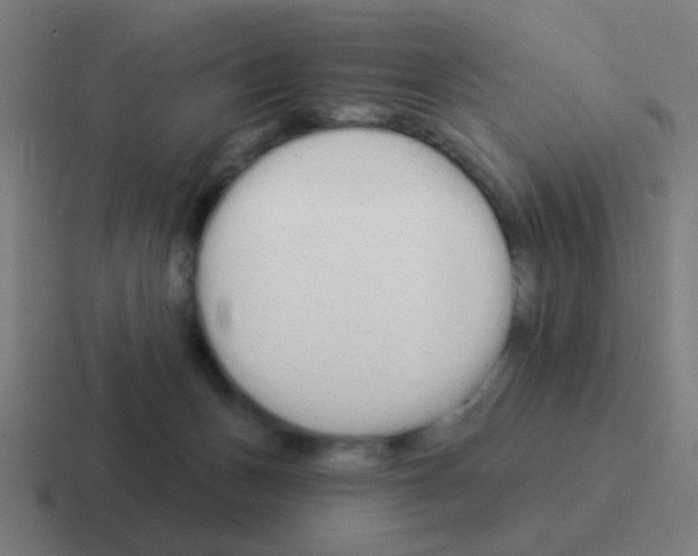 X0000116040175200912312239