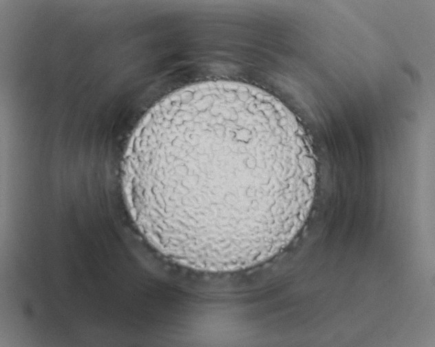 X0000116040177200912312239