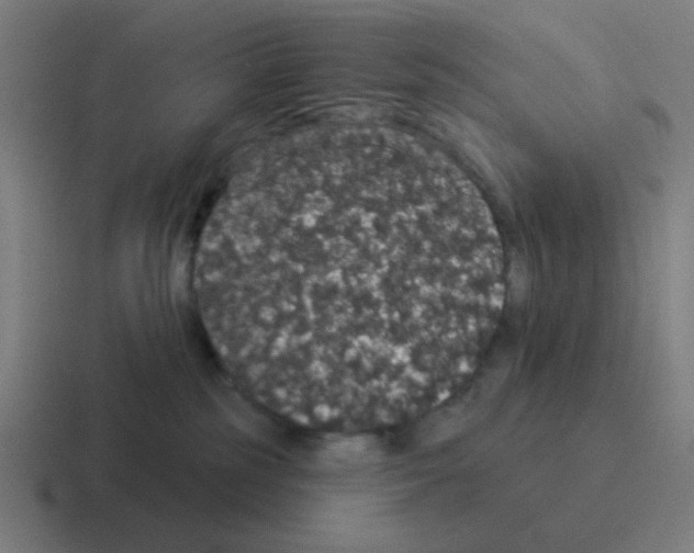 X0000116040185200912312240