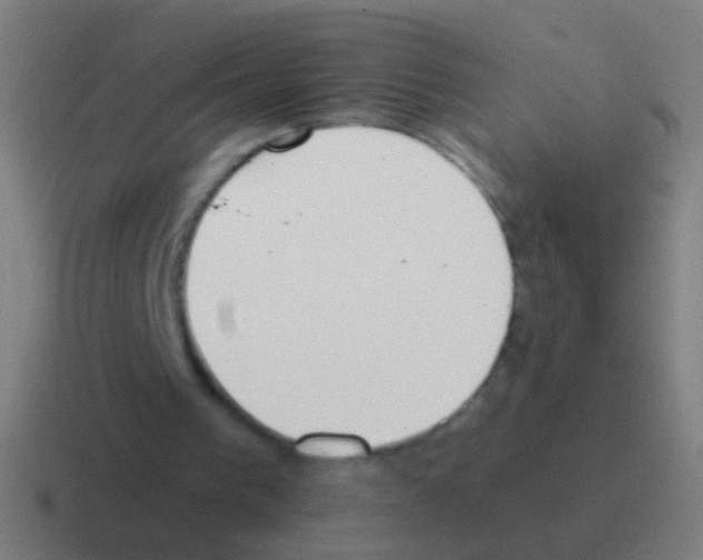 X0000116040193200912312239