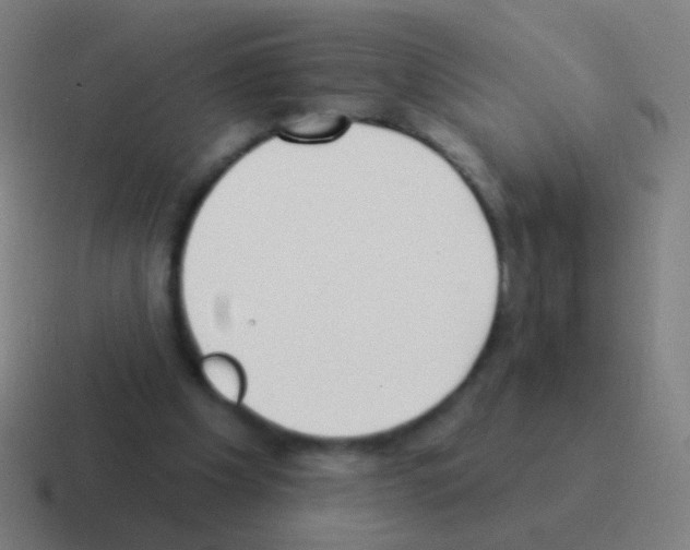 X0000116040201200912312239