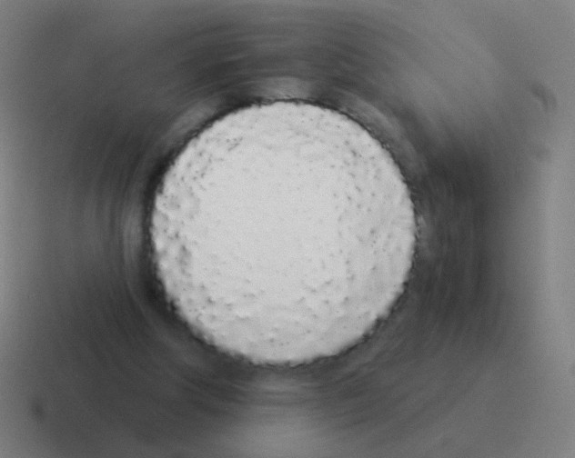 X0000116040202200912312239