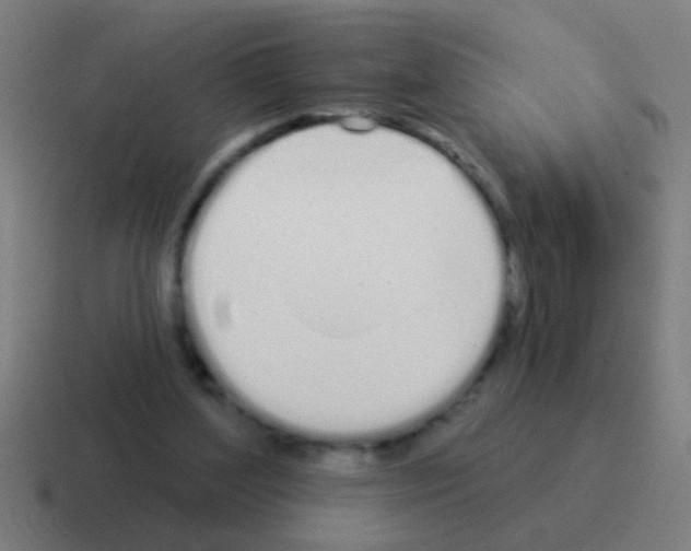 X0000116040204200912312239