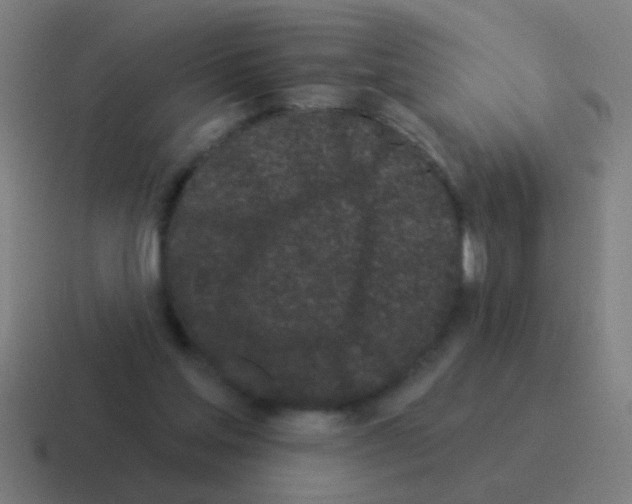 X0000116040205200912312239