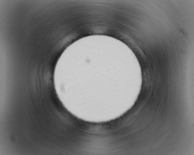 X0000116040212200912312239