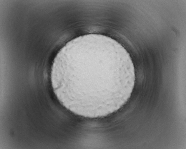 X0000116040214200912312239