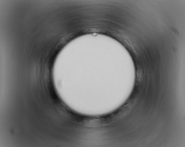 X0000116040220200912312239