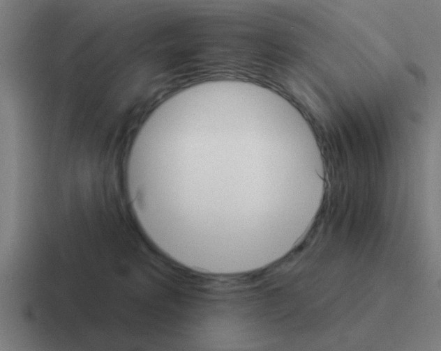 X0000116040229200912312239