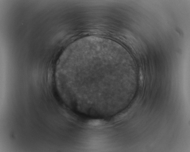 X0000116040231200912312239