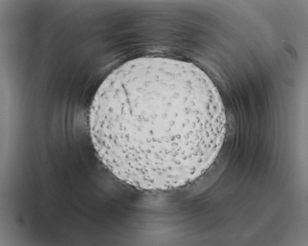X0000116040238200912312238