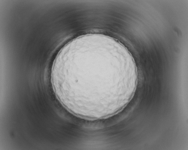 X0000116040251200912312238