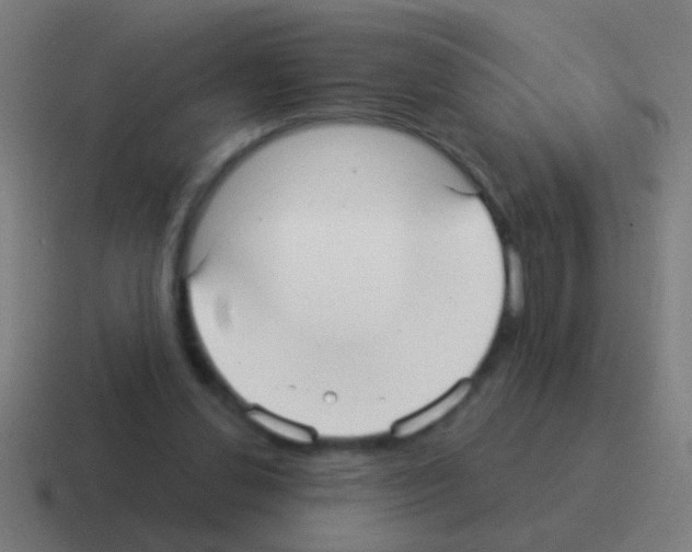 X0000116040252200912312238