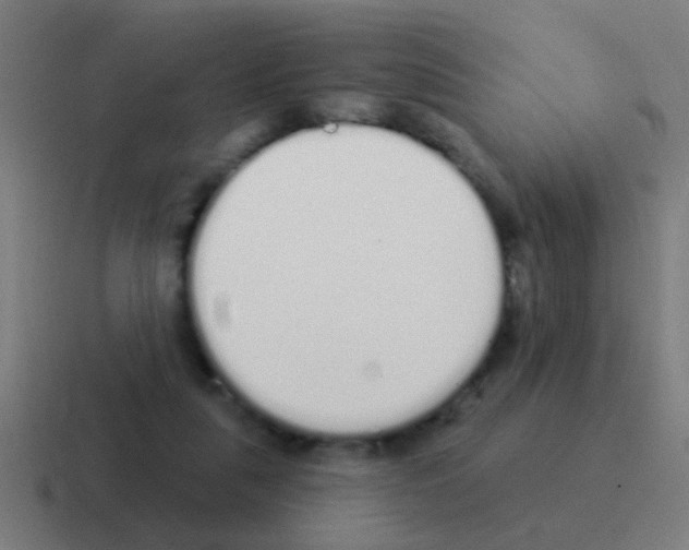 X0000116040259200912312238
