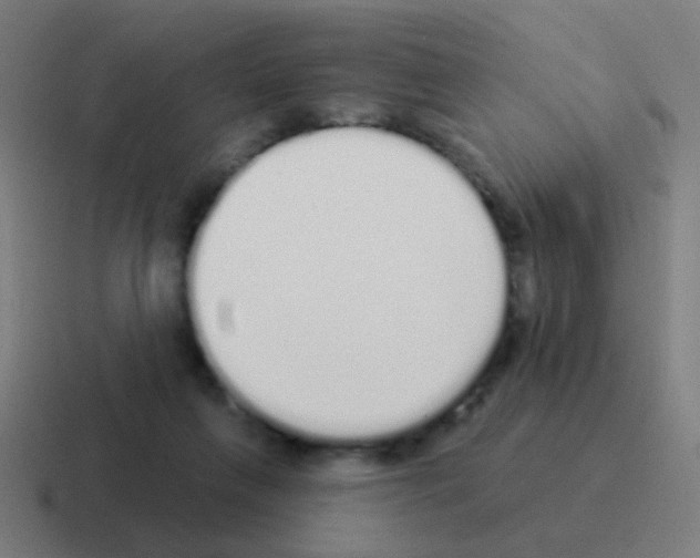 X0000116040263200912312238