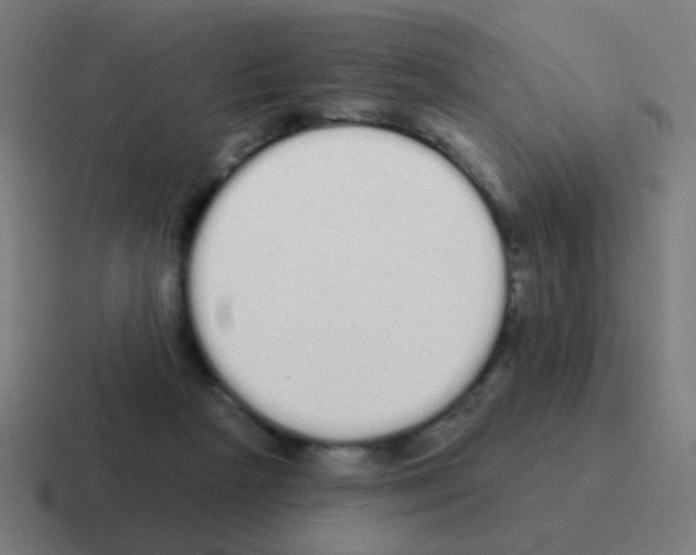 X0000116040265200912312238