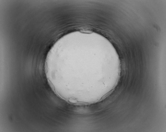 X0000116040266200912312238
