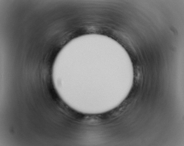 X0000116040275200912312238