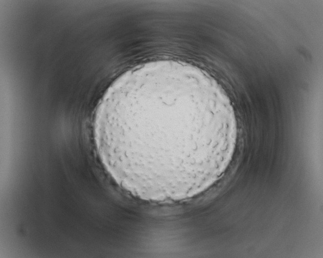 X0000116040278200912312238