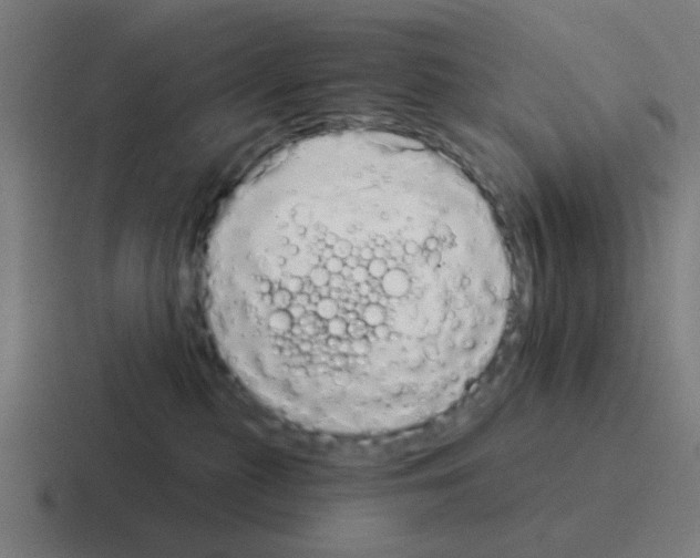 X0000116040279200912312238