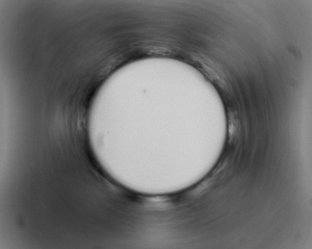 X0000116040281200912312238