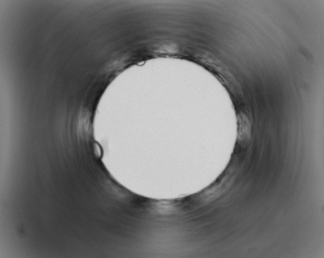 X0000116040287200912312238
